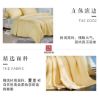 图片 真丝黄金茧夏凉被