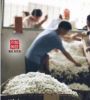 图片 真丝宫廷花手绘棉被枕头两件套